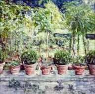 Line of Flower Pots