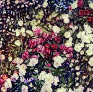 Flower Mosaic