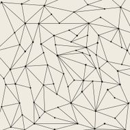 Networks in vector N2