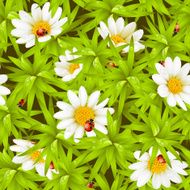 Vector seamless background camomiles and ladybugs