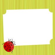 Ladybug N15