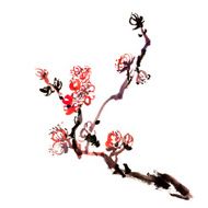 Plum blossom N14