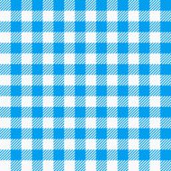 blue white plaid tablecloth N2