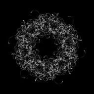 white lines with black background