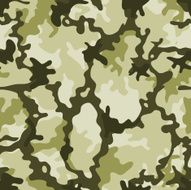 Seamless Military Camouflage