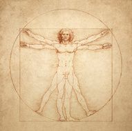 Vitruvian Man by Leonardo da Vinci