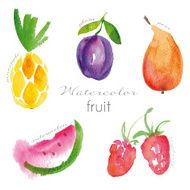 Watercolor fruit set