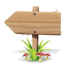 Wooden sign on a grass with mushrooms N5