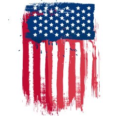 Vertical american flag N2