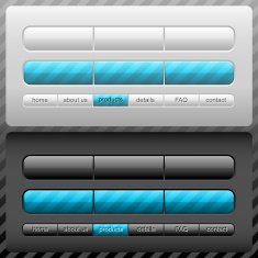 Vector Shiny User Interface
