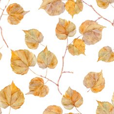 Vector watercolor leaf N2