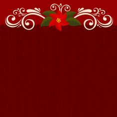 Poinsettia burgundy background N2