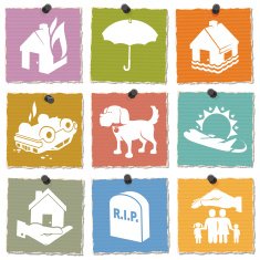 insurance icons N31