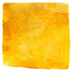 Ocher Yellow Watercolour square