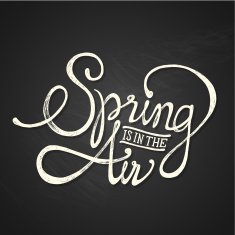 SPRING AIR - quote on blackboard N2
