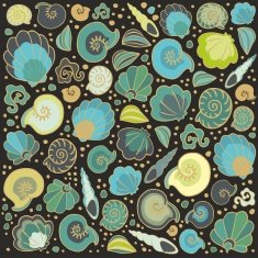 Sea shells set N10