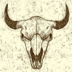 Cow skull background N2
