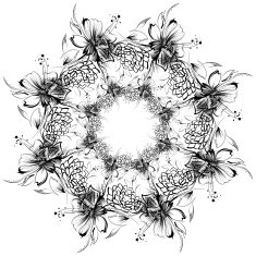 Roses and camomiles Mandala freehand drawing ornament pattern N13