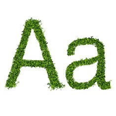 Isolated grass alphabet N23