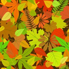 Autumn yellow leaf seamless pattern N2