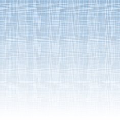 Fabric Texture N13