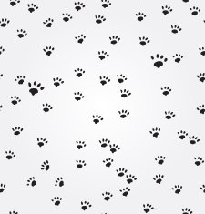 Cat Paw Prints vector seamless background N2