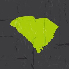 Detailed map of South Carolina state grunge style N2