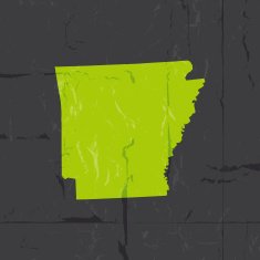 Detailed map of Arkansas state grunge style N2