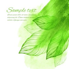 Watercolor green leaf design element Vector illustration N3