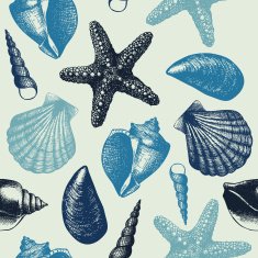 Vintage background with sea shells N5