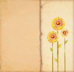 greeting card N255