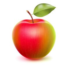 Realistic apple with green and red sides