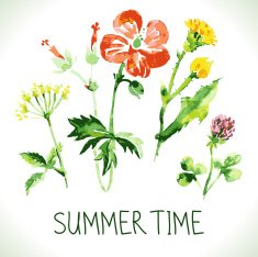Watercolor floral greeting card N3