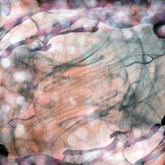 old grunge background texture N2