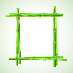 Bamboo Frame N19