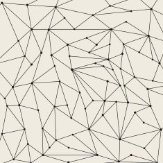 Networks in vector N2