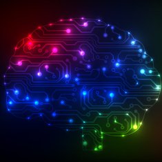 Circuit board computer brain Vector illustration N68