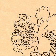 Chinese painting with paper texture--line drawing flower N23