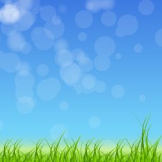 green grass against the blue sky N2
