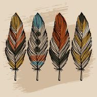 Hand draw feather set