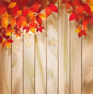 Autumn background with leaves on a wood texture N2