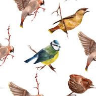 Seamless pattern with birds N26