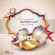 Holiday banner with shells and starfishes