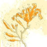 Vector textured background with lily