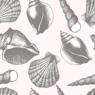 Hand drawn seamless pattern with sea shell N2