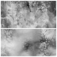 Set of Colorful watercolor painting background N45