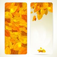 Set of two vector cards with autumn leaves