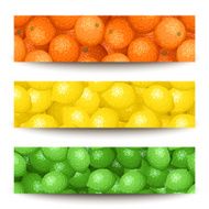 Three vector banners with citrus fruits
