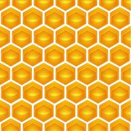 honeycomb N8