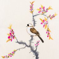 Birds N127